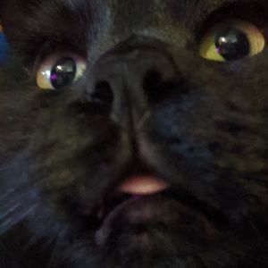 Meet your Posher, Aqsa